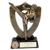 Martial Arts Trophies