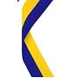 Blue / Yellow Medal Ribbons thumbnail