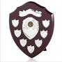7 Mini Shields SV10 thumbnail