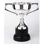 Silverplated Trophy thumbnail