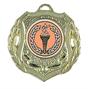 50mm Gold Shield Medal AM970G thumbnail