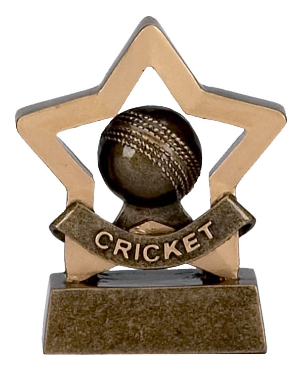 Cricket Mini Star Trophy Award - A969