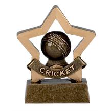 Cricket Mini Star Trophy Award - A969