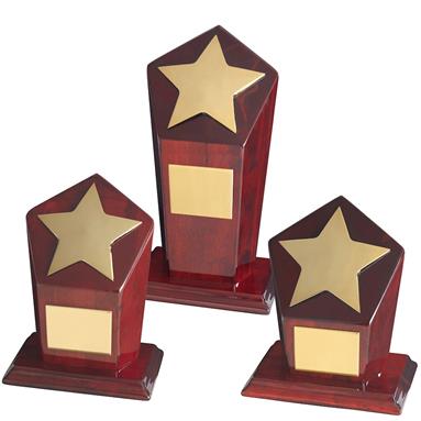 Gold Finish Metal Stars on Hexagonal Wood Bases - Available in 3 sizes