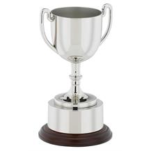 Trophy Cup