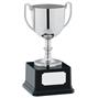 Classic Trophy Cup thumbnail
