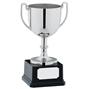 Classic Trophy Cup thumbnail