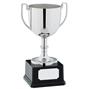 Classic Trophy Cup thumbnail