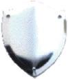 Mini Shield S6