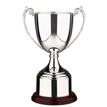 Explorer Cup Trophy