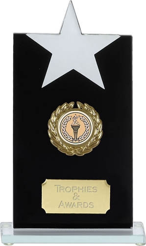 Reach For The Stars Jade Glass Award