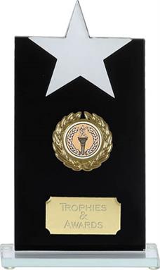 Reach For The Stars Jade Glass Award