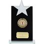 Reach For The Stars Jade Glass Award thumbnail