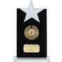 Reach For The Stars Jade Glass Award thumbnail