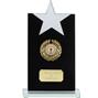 Reach For The Stars Jade Glass Award thumbnail