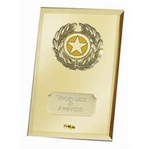 Crest Mirror Gold Jade Glass Award