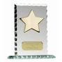 Pearl Edge Star Jade Glass Award thumbnail